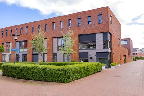 Perenboompad thumbnail