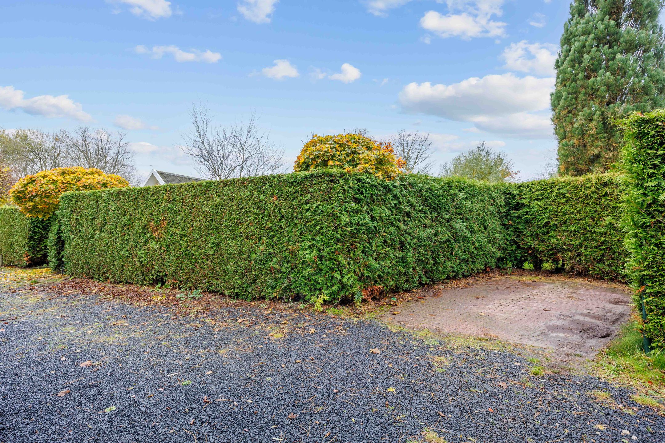 Foto 27 van Vogels' tún 18