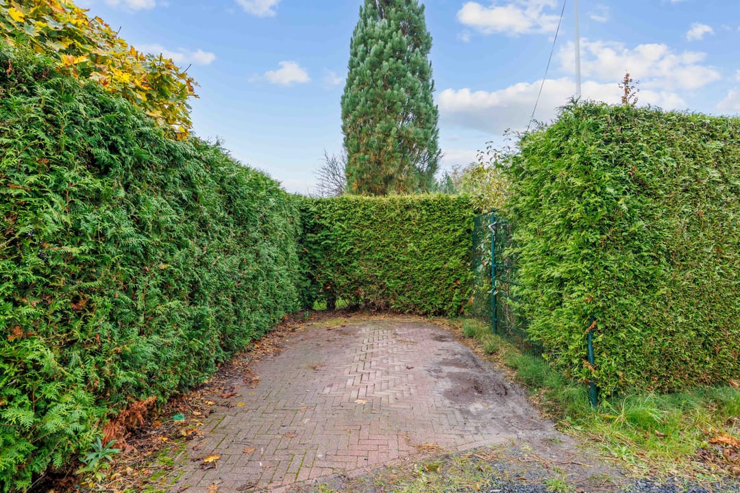 Foto 28 van Vogels' tún 18