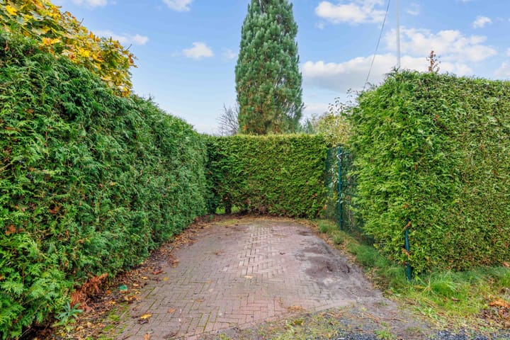 Photo 28 of Vogels' tún 18