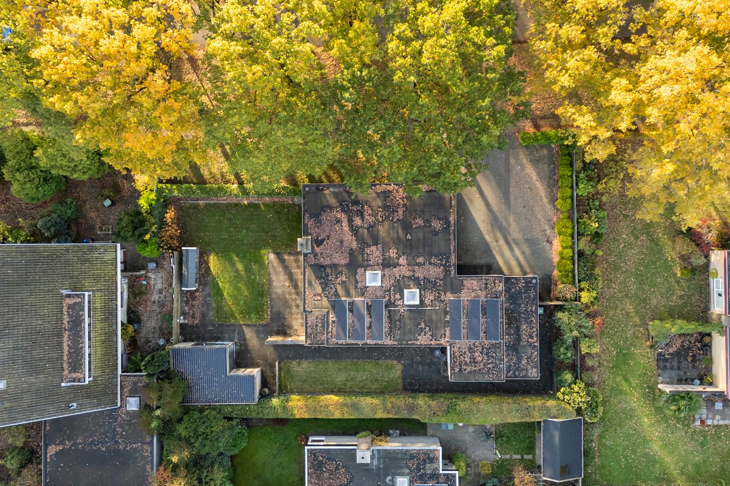 Foto 49 van Kwekersstrjitte 3