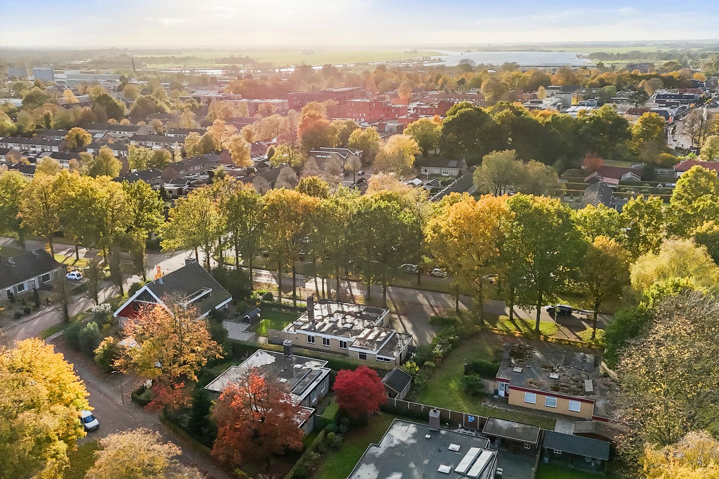 Foto 50 van Kwekersstrjitte 3