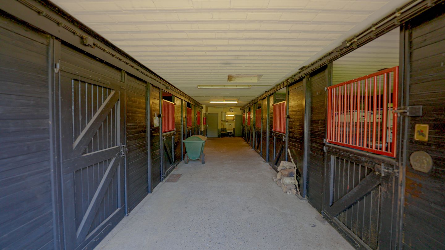 Foto 5 van Pepereind 20