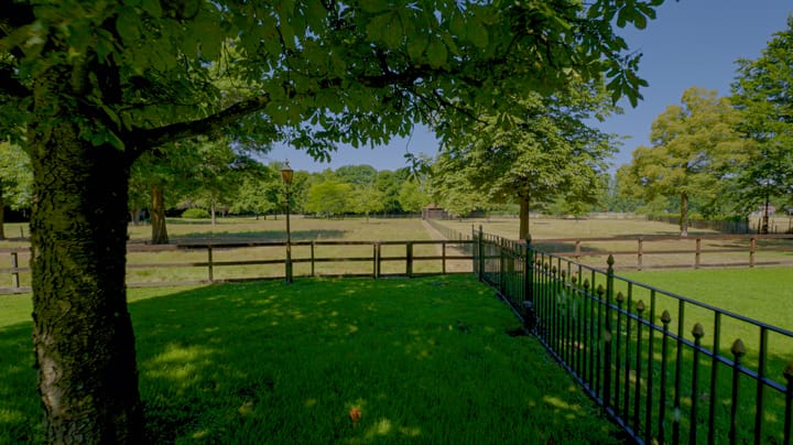 Photo 8 of Pepereind 20