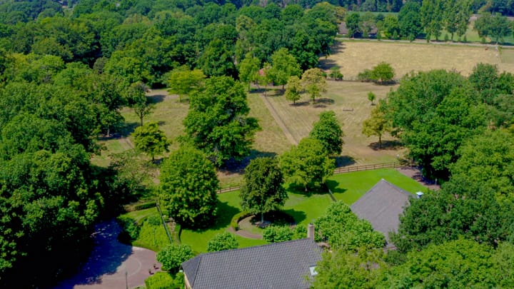 Photo 12 of Pepereind 20