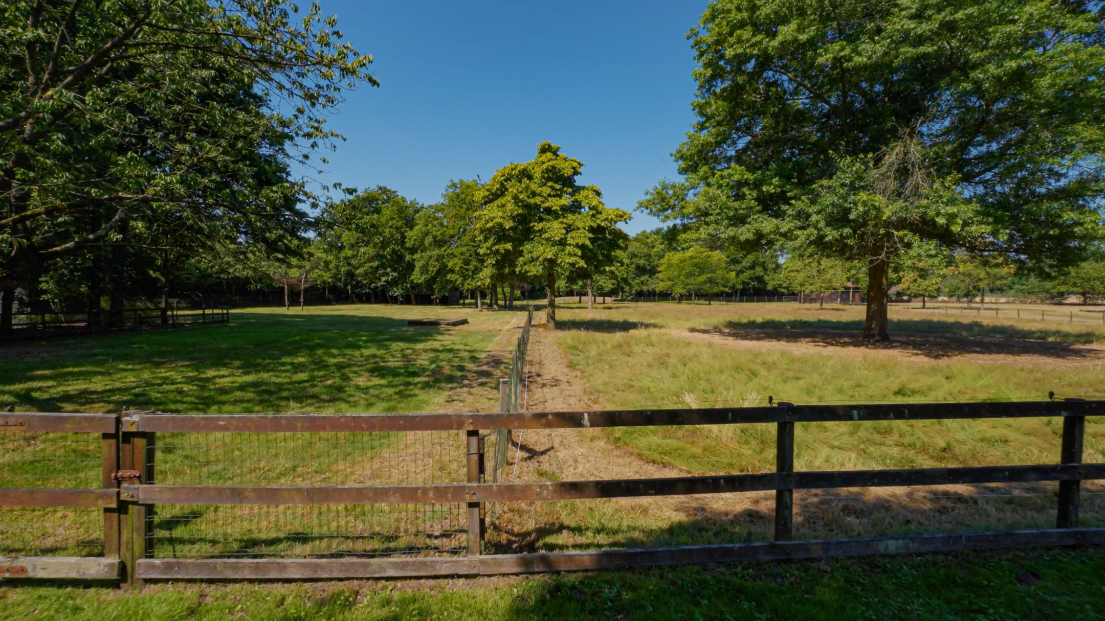 Foto 15 van Pepereind 20