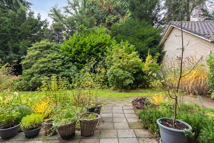 Foto 23 van Bergweg 29-D