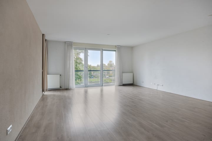 Foto 2 van Pandora 40