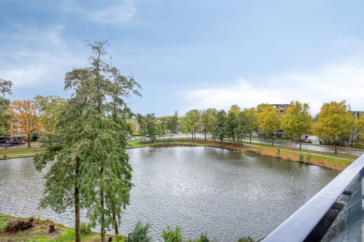 Foto 5 van Pandora 40