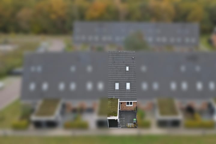 Photo 42 of Nelson Mandelahof 33