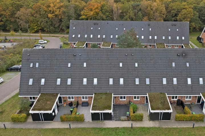 Photo 39 of Nelson Mandelahof 33