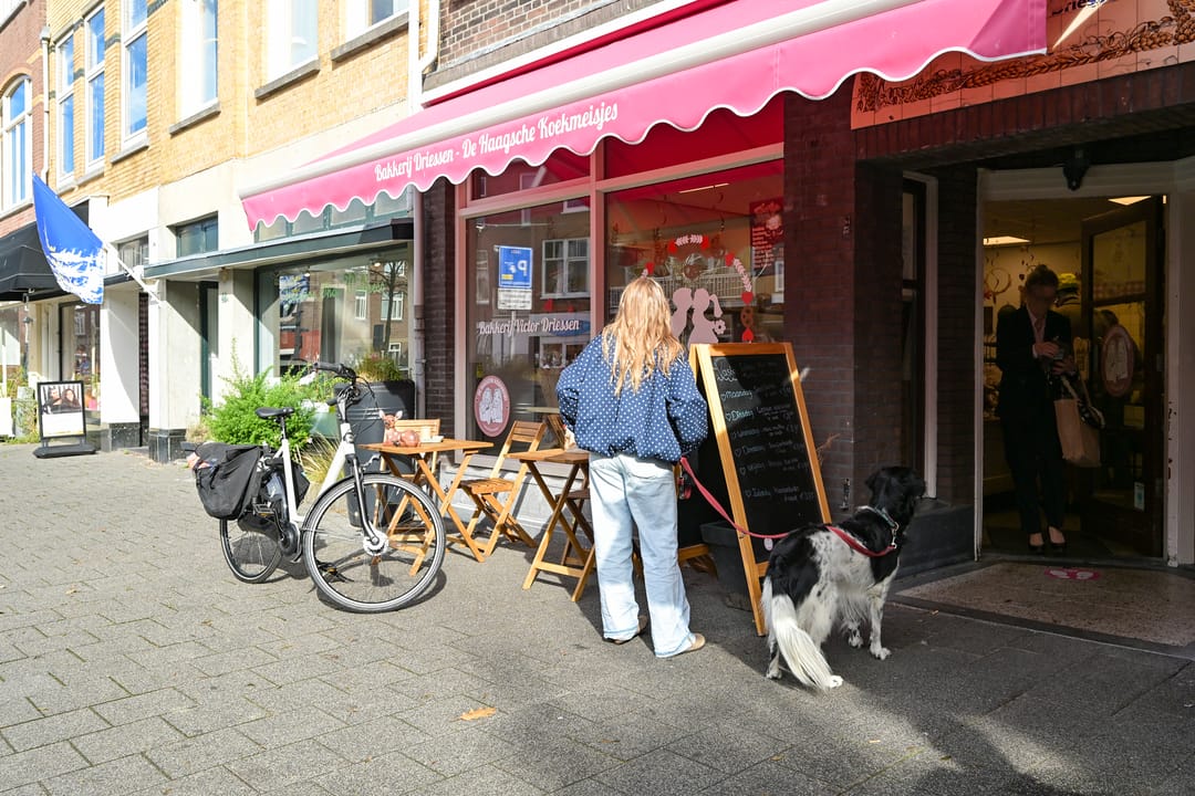 Foto 28 van Badhuisweg 10-D