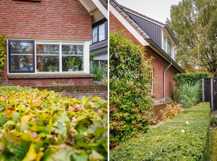 Foto 7 van De Pinguin 36