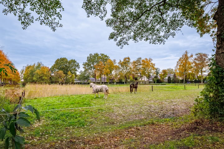 Foto 60 van De Pinguin 36