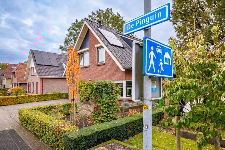 Foto 59 van De Pinguin 36