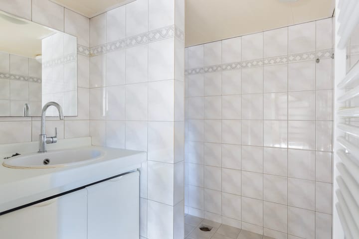 Photo 16 of Rodenrijseweg 251