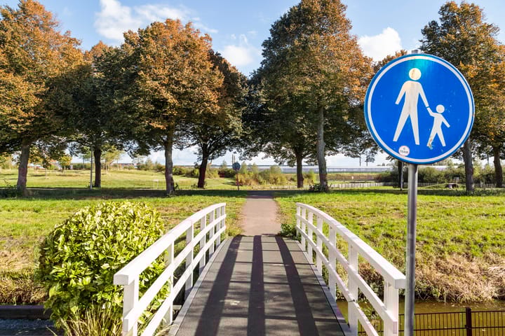 Photo 45 of Rodenrijseweg 251