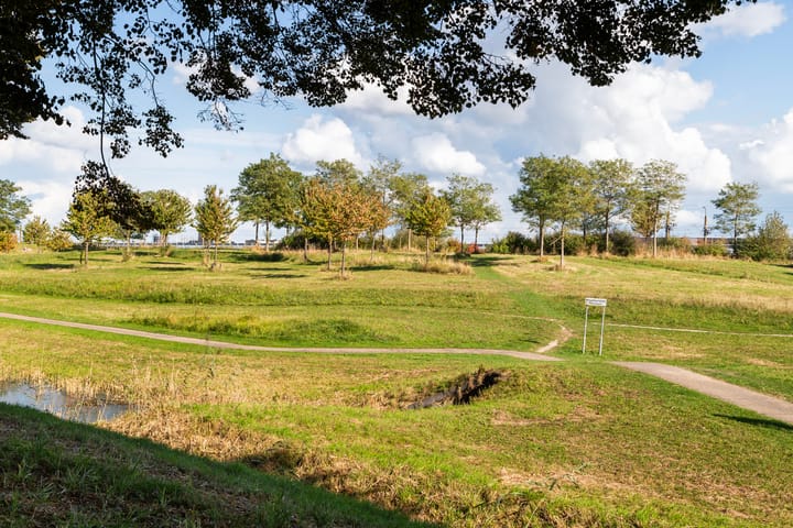 Photo 46 of Rodenrijseweg 251