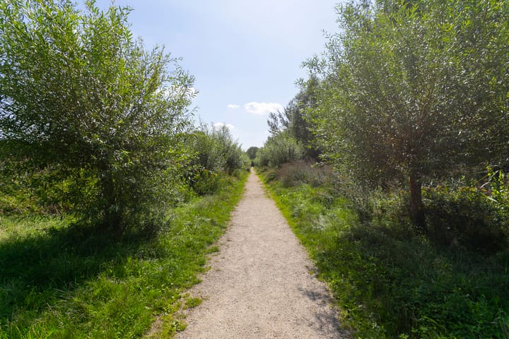 Foto 58 van Zeeuwendonk 6