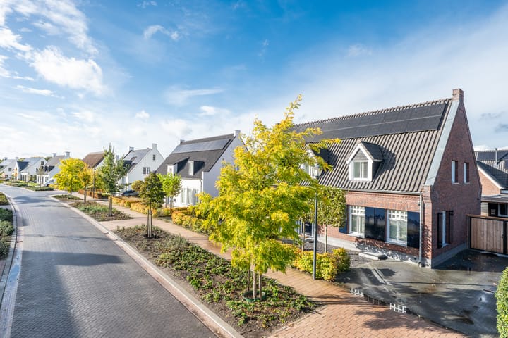 Foto 8 van Abendonk 40