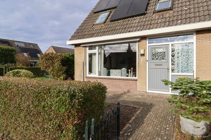 Foto 6 van Reafinne 1