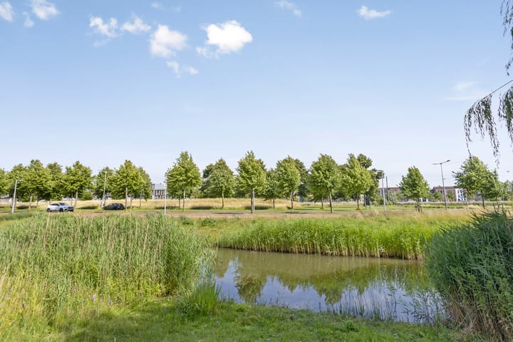 Foto 6 van Westhove 22