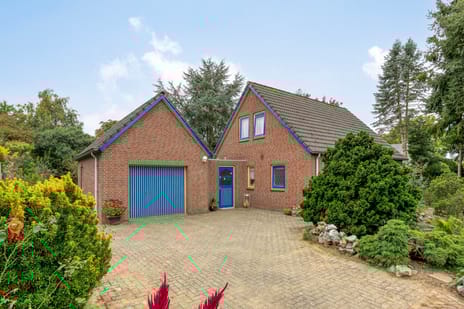 undefined main image