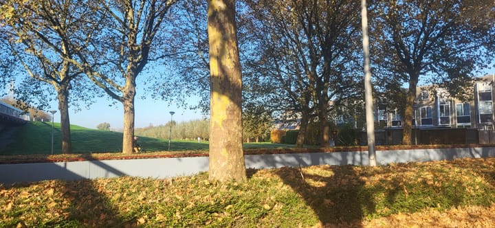 Foto 8 van Doortocht 6