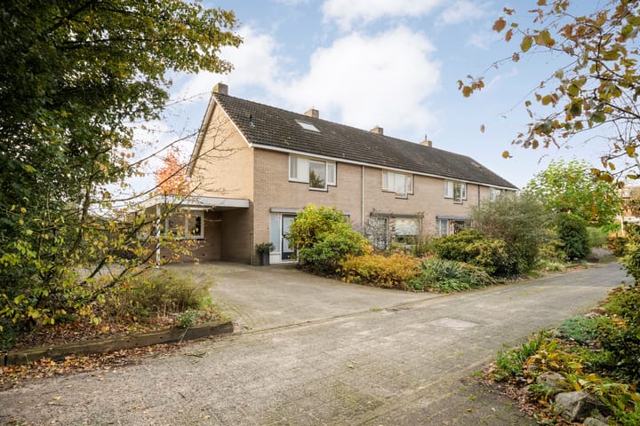 Foto 1 van Teunisbloem 20