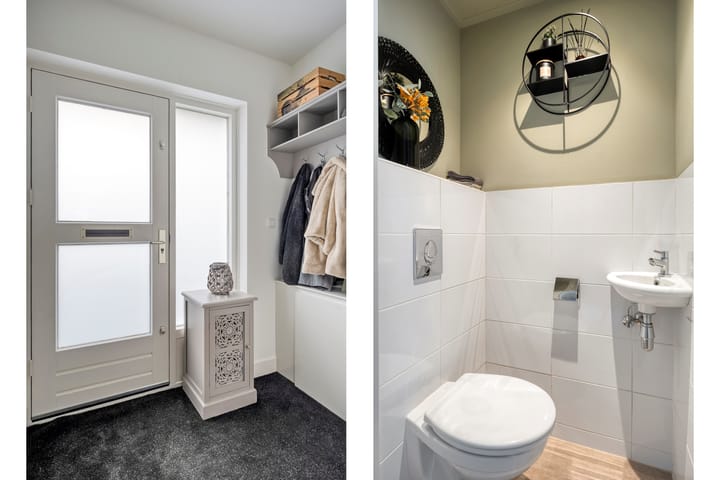 Foto 20 van Teunisbloem 20