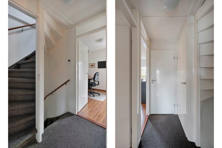 Foto 21 van Teunisbloem 20