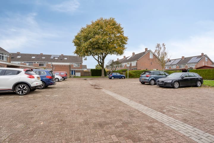 Foto 23 van Valeriaan 82