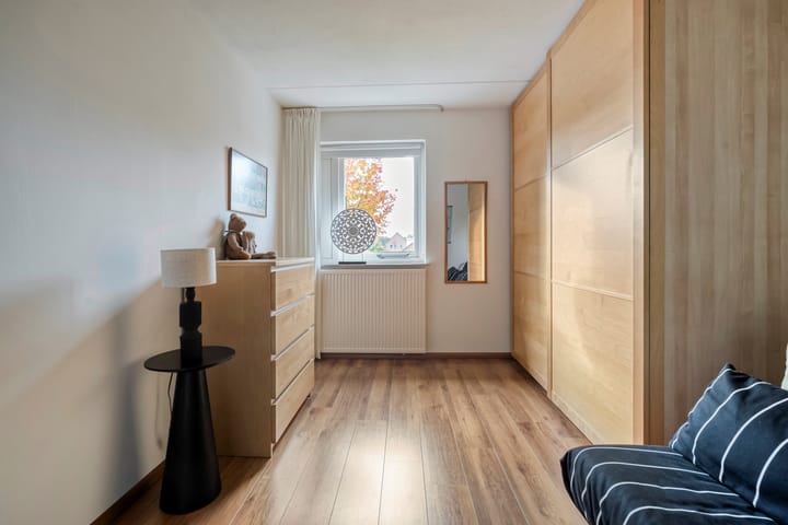 Foto 25 van Teunisbloem 20