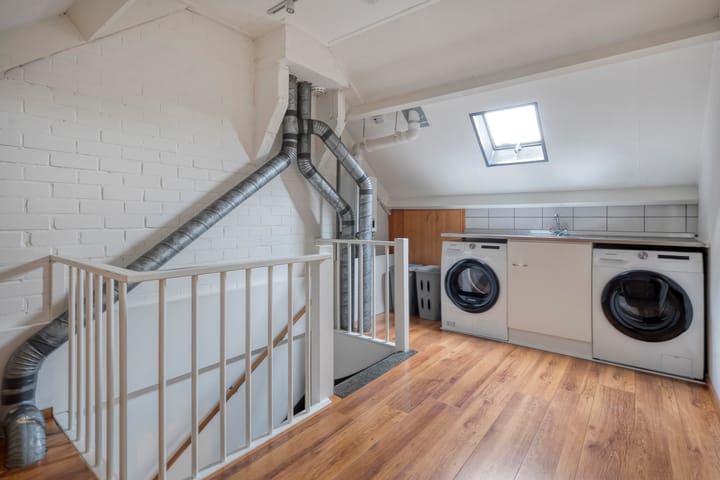 Foto 30 van Teunisbloem 20