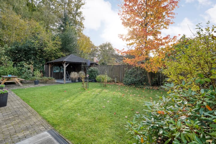 Foto 34 van Teunisbloem 20