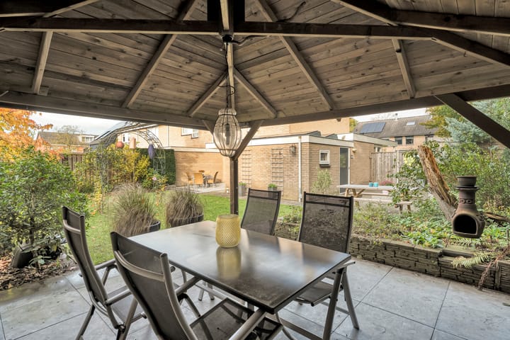 Foto 40 van Teunisbloem 20