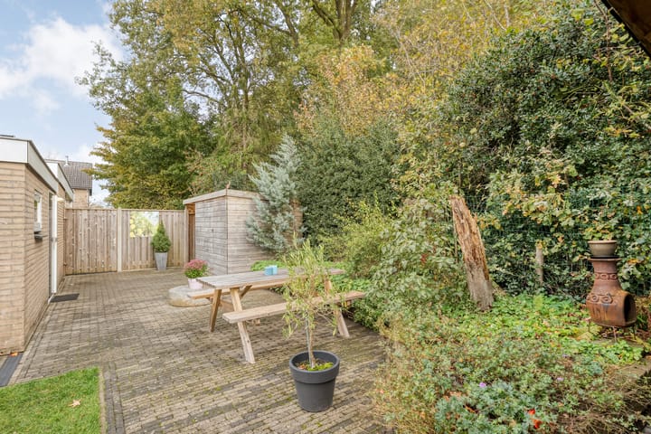 Foto 44 van Teunisbloem 20