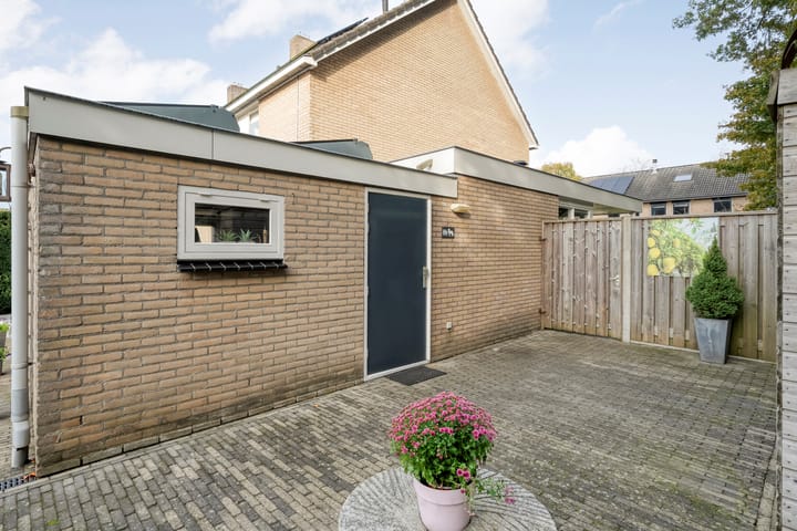 Foto 45 van Teunisbloem 20