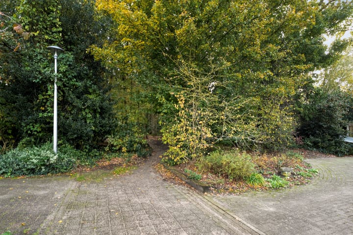 Foto 47 van Teunisbloem 20