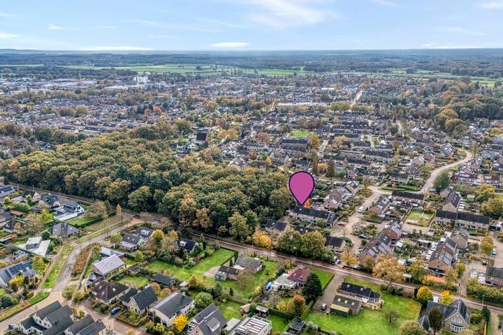 Foto 50 van Teunisbloem 20