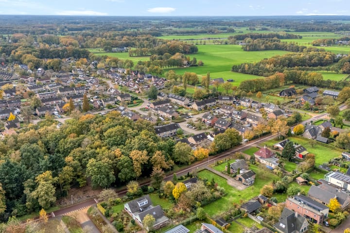 Foto 51 van Teunisbloem 20