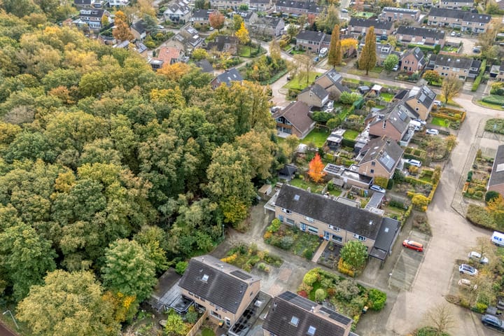 Foto 52 van Teunisbloem 20