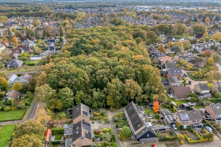 Foto 53 van Teunisbloem 20