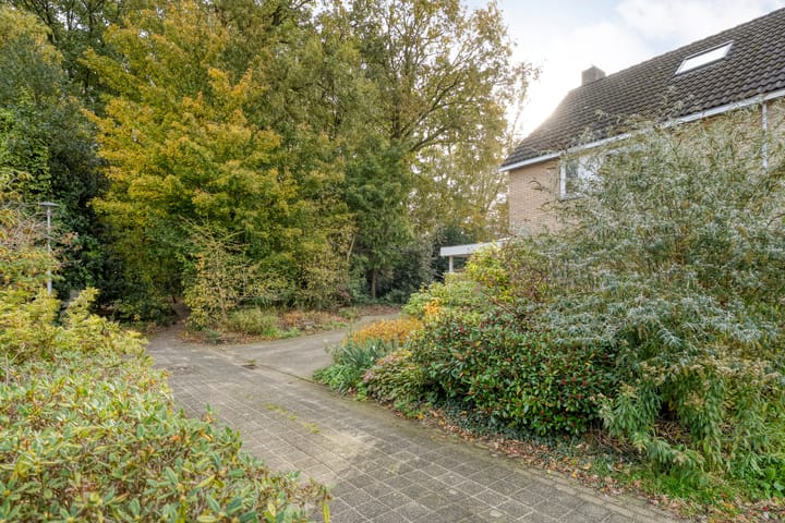 Foto 54 van Teunisbloem 20