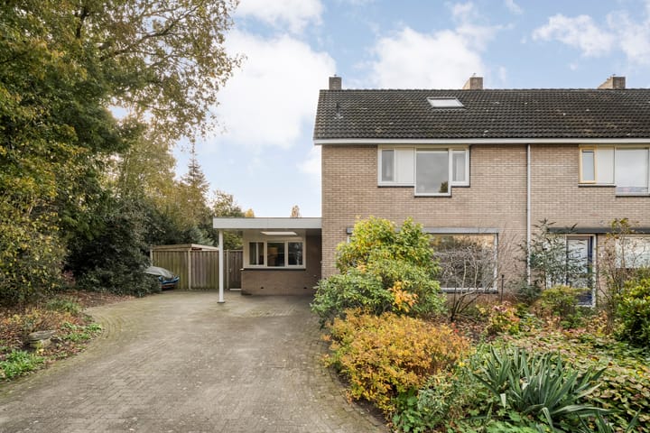 Foto 55 van Teunisbloem 20