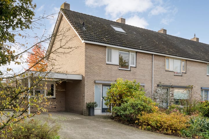 Foto 57 van Teunisbloem 20