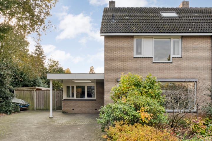 Foto 58 van Teunisbloem 20