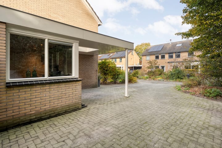 Foto 59 van Teunisbloem 20