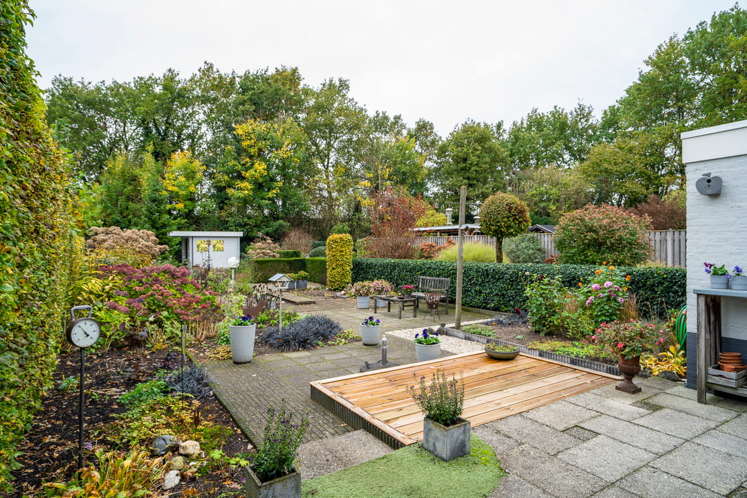 Foto 2 van Goudrenet 24