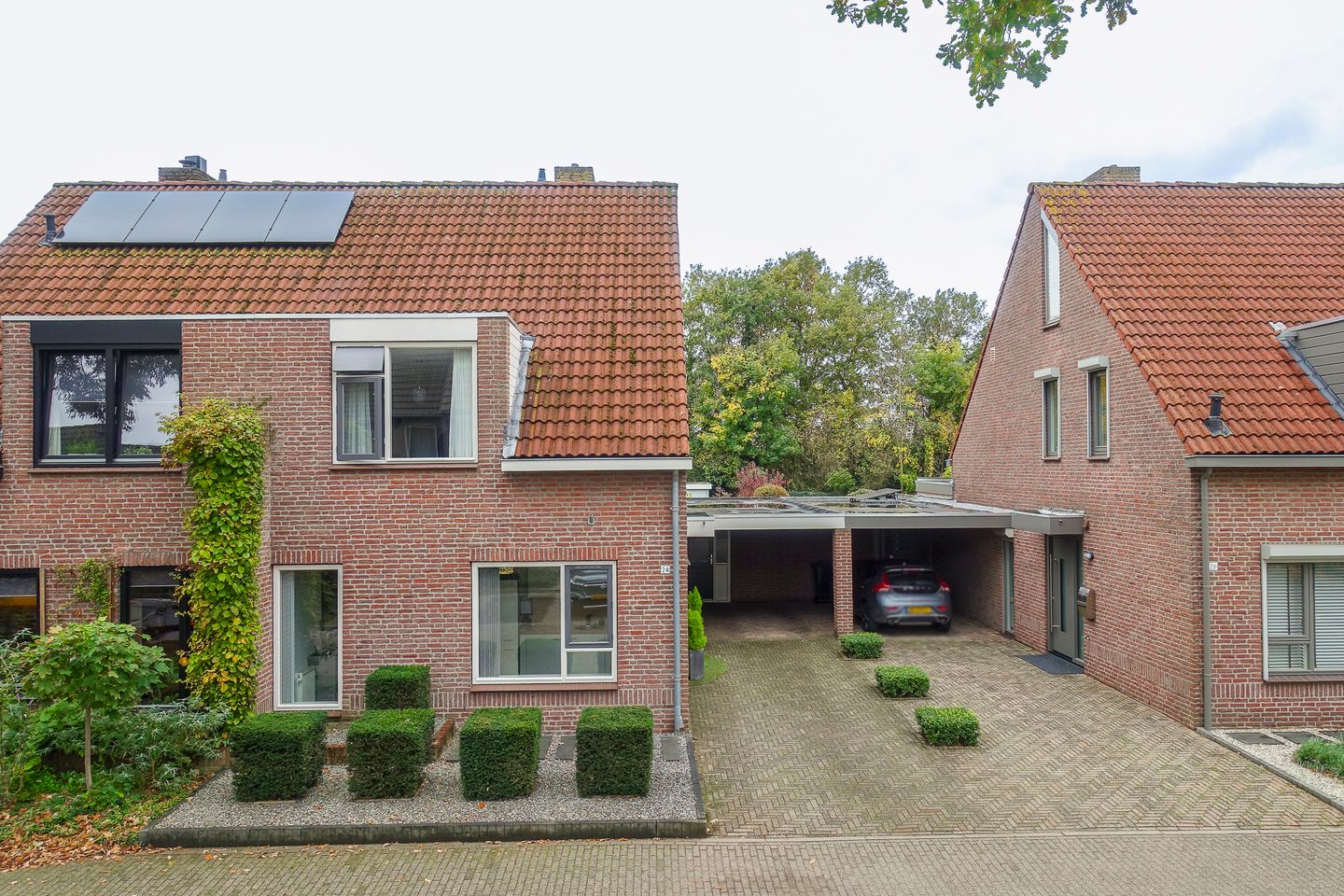 Foto 5 van Goudrenet 24